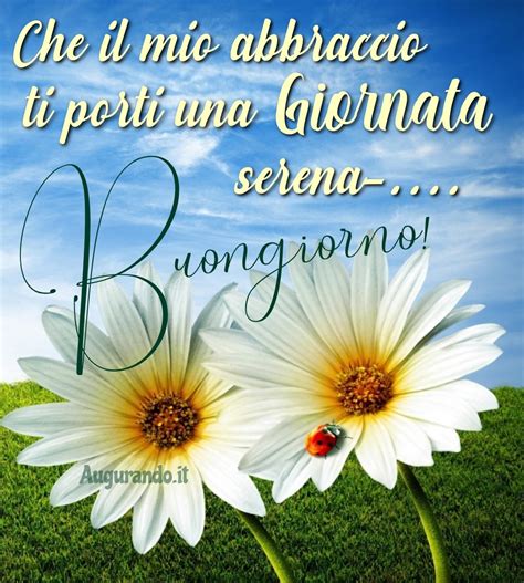 buongiorno buonissima giornata|buongiorno caro come va oggi.